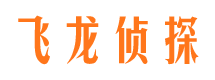 海原飞龙私家侦探公司